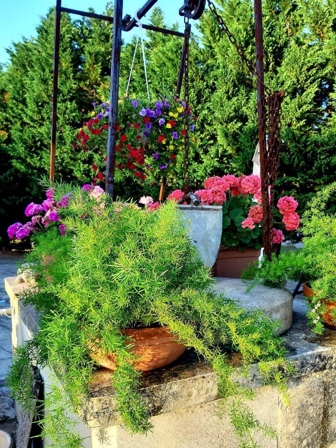 B&B La Nicchiarica Muro Leccese Exteriör bild